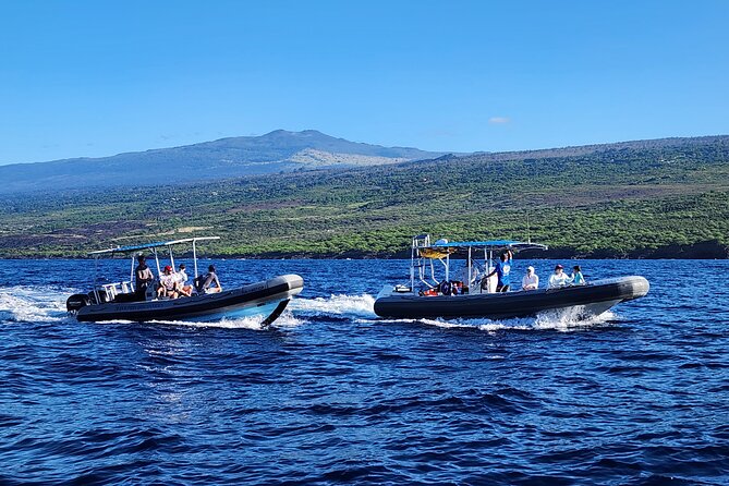 Manta Ray Night Snorkel at Kona, Big Island - Who should book this experience