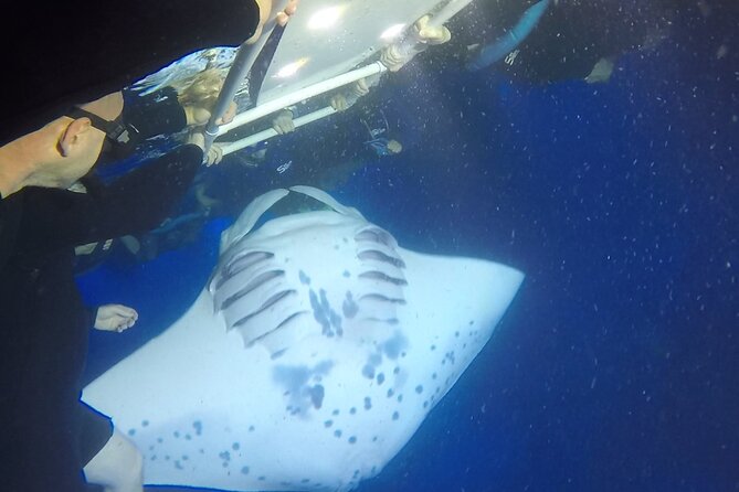 Manta Ray Night Snorkel from Kona — Small Group - A small boat changes the feel of the evening