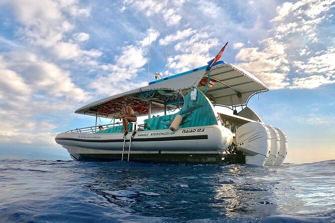 Manta Ray Night Snorkel from Kona — Small Group - Who should choose this Kona night snorkel