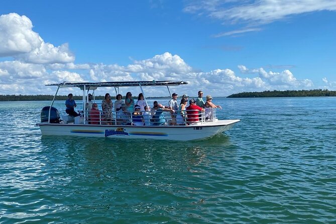 Marco Island Dolphin Sightseeing Tour - Guides who make the difference