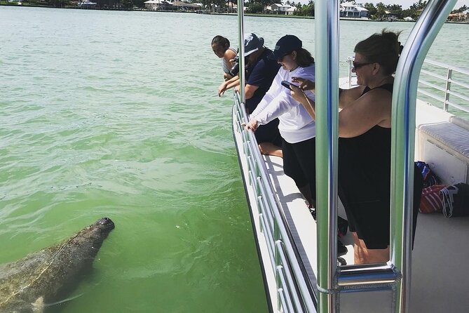 Marco Island Dolphin Sightseeing Tour - What families and couples can expect
