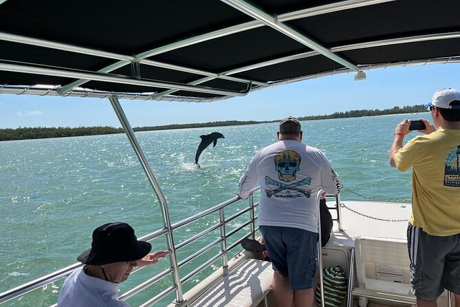 Marco Island Dolphin Sightseeing Tour - What is included, and what you should bring