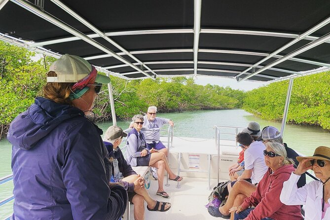 Marco Island Dolphin Sightseeing Tour - Is the two-hour format good value?