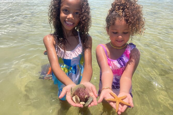Marco Island Wildlife Sightseeing and Shelling Tour - Leaving from Goodland Boating Park
