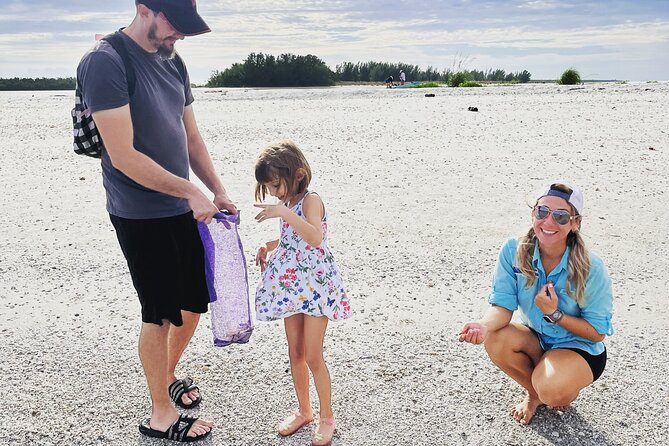 Marco Island Wildlife Sightseeing and Shelling Tour - Comfort, supplies, and group size