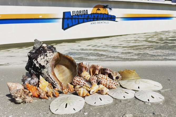 Marco Island Wildlife Sightseeing and Shelling Tour - Cruising through the Gulf and mangrove maze