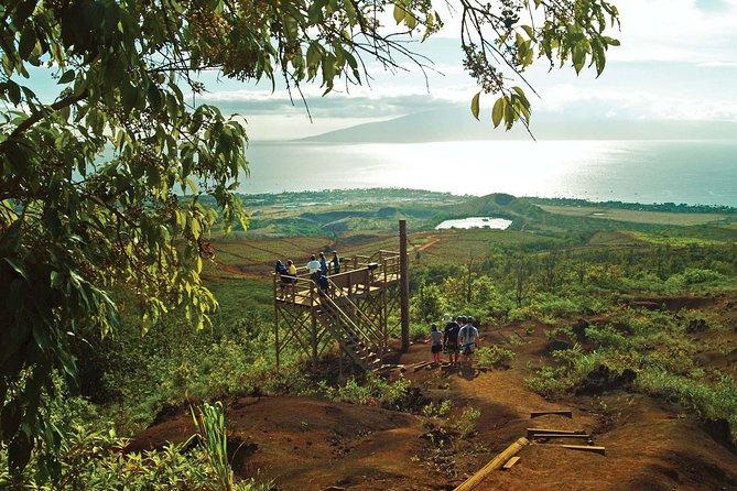 Maui 8 line Zipline Adventure: Soar above valleys & Island views - Key points before you book