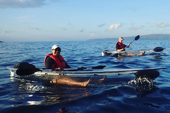 Maui Clear Kayak and Snorkel Tour: Swim with turtles (Makena) - Snorkeling with turtles, fish, and reef life