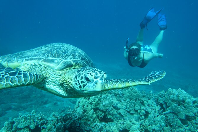 Maui Clear Kayak and Snorkel Tour: Swim with turtles (Makena) - What the $130 price includes