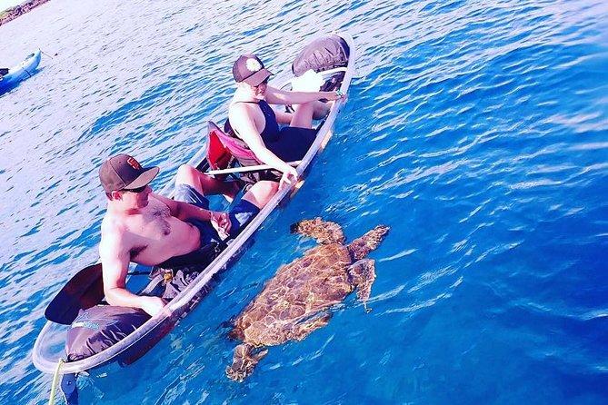 Maui Clear Kayak and Snorkel Tour: Swim with turtles (Makena) - Who should book this Makena morning