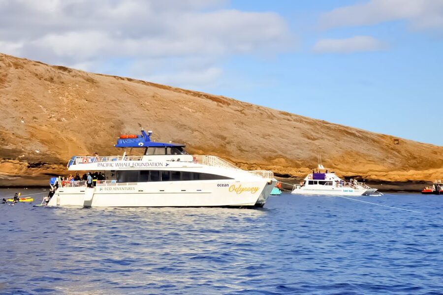Maui: Eco-Friendly Molokini & Turtle Town Tour with Meals - Optical masks and gear that make a real difference