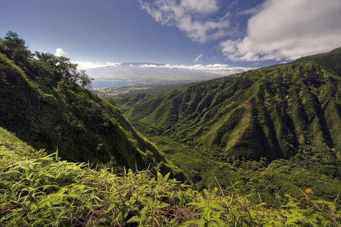 Maui Horseback Adventure at Circle M Ranch With Real Cowboys - Key points at a glance