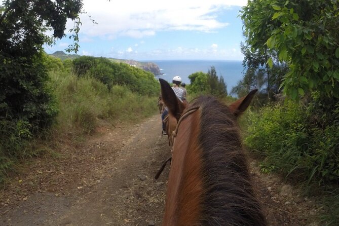 Maui Horseback Adventure at Circle M Ranch With Real Cowboys - Along the coast, with the Pacific as your backdrop