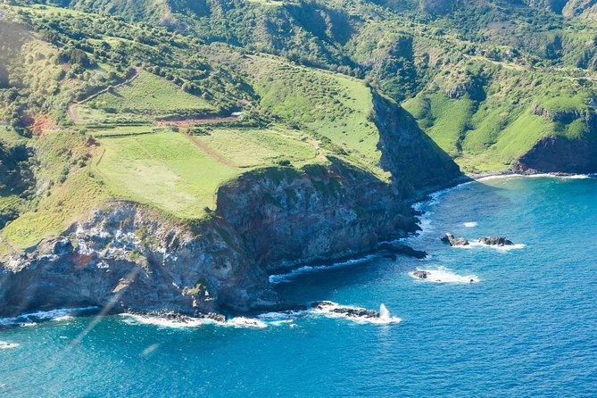 Maui Horseback Adventure at Circle M Ranch With Real Cowboys - Taro patches, plantation homes, and the return uphill