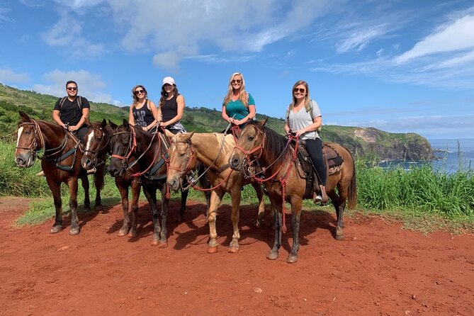 Maui Horseback Adventure at Circle M Ranch With Real Cowboys - Morning or afternoon?