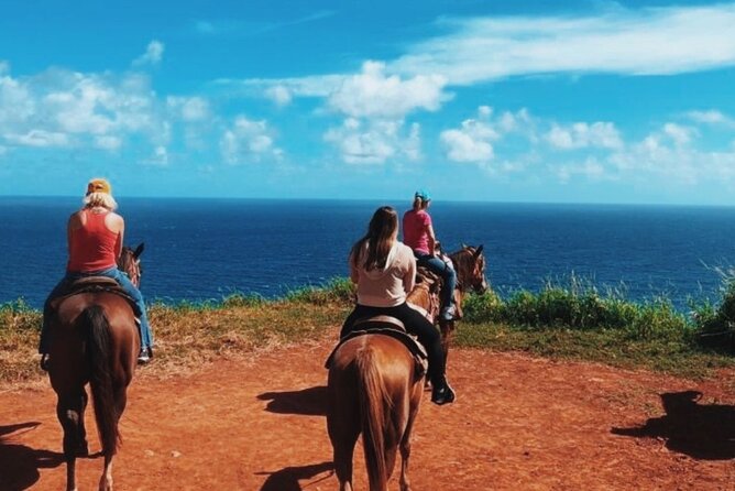 Maui Horseback Adventure at Circle M Ranch With Real Cowboys - The first 45 minutes: briefing, horses, and nerves