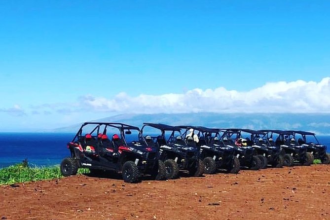 Maui: Lahaina ATV Adventure - Key points to know before booking