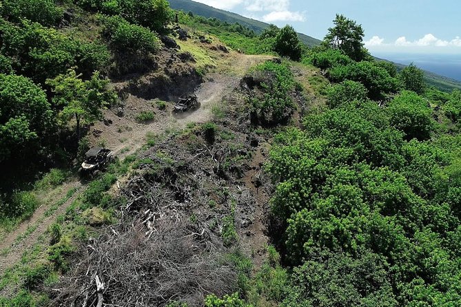 Maui: Lahaina ATV Adventure - A guided ride through former pineapple country