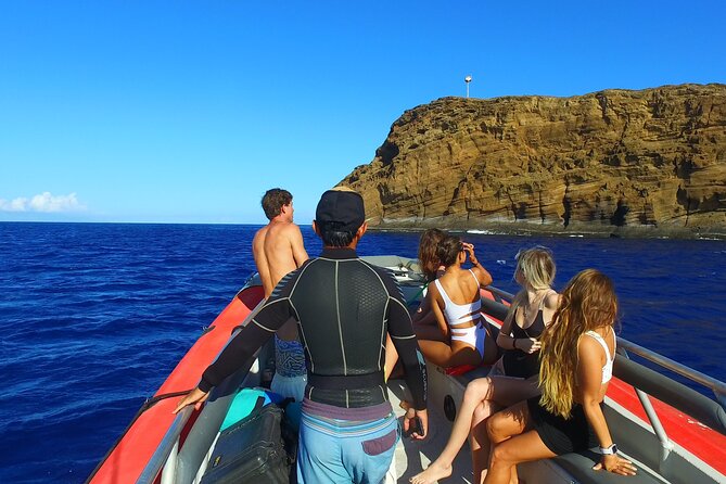 Maui: Molokini Crater and Turtle Town Snorkeling From Kihei - Snacks, sandwiches, and what the $179 price covers