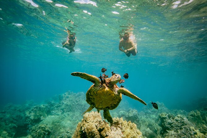 Maui: Molokini Crater and Turtle Town Snorkeling From Kihei - Who should book this Kihei snorkeling tour