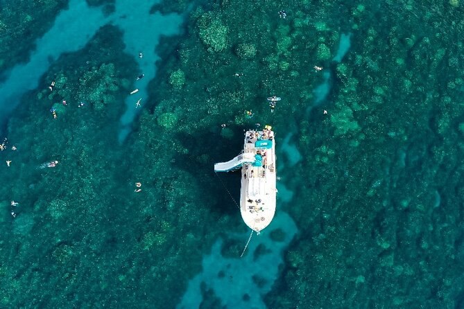 Maui: Molokini & Turtle Town Snorkel & Waterslide Adventure - Turtle Town: the second chance for marine life