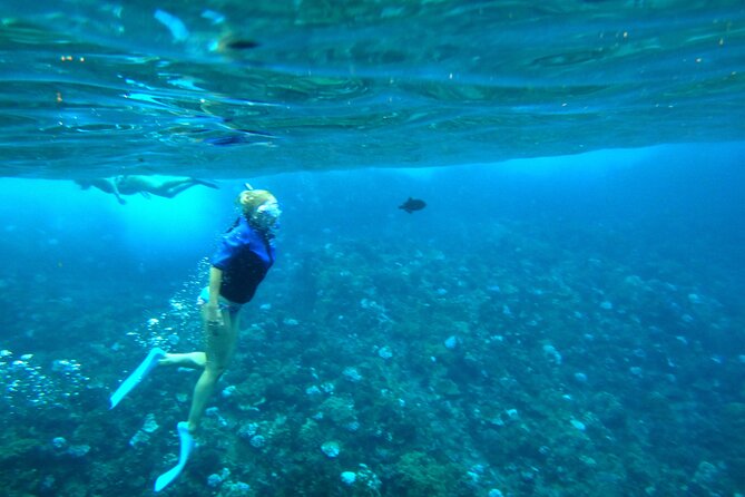 Maui: Molokini & Turtle Town Snorkel & Waterslide Adventure - The waterslide is more than a side attraction