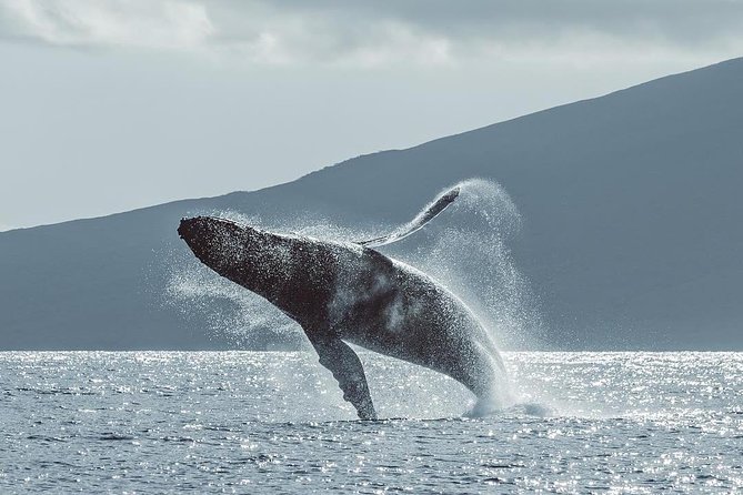 Maui: Original Sunset Cruise with Open Bar from Ka’anapali Beach - Seating, spray, and the best way to dress