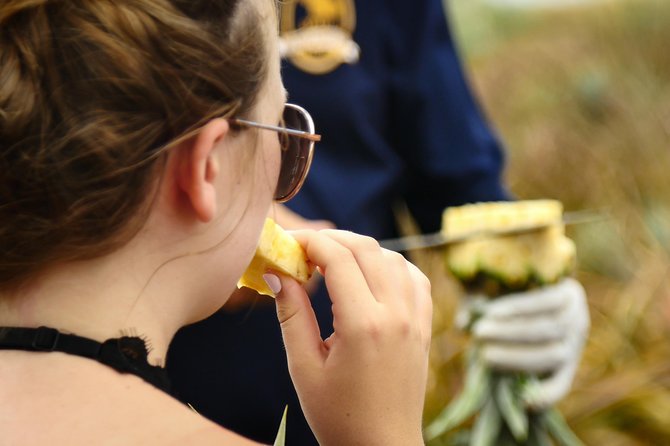Maui Pineapple Farm Tour in Haliimaile - Tasting Maui Gold at several stages