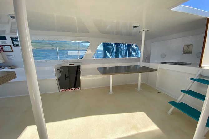 Maui Premium Sunset Dinner Cruise from Ka’anapali Beach - Who should book this cruise