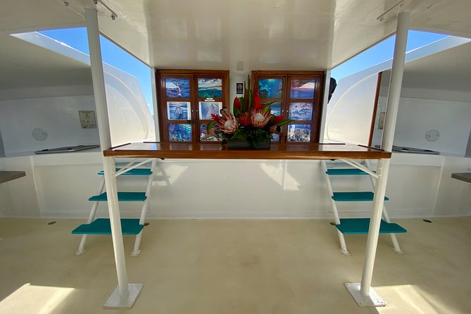 Maui Premium Sunset Dinner Cruise from Ka’anapali Beach - Should you book the Sea Maui sunset cruise?