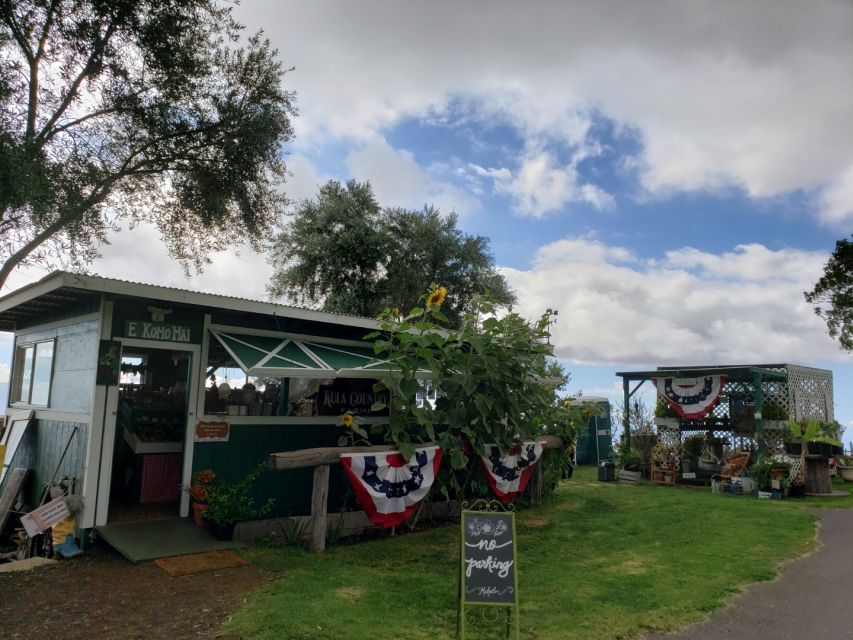 Maui: Road to Hana Adventure with Breakfast & Lunch - Why the Road to Hana works best with a guide
