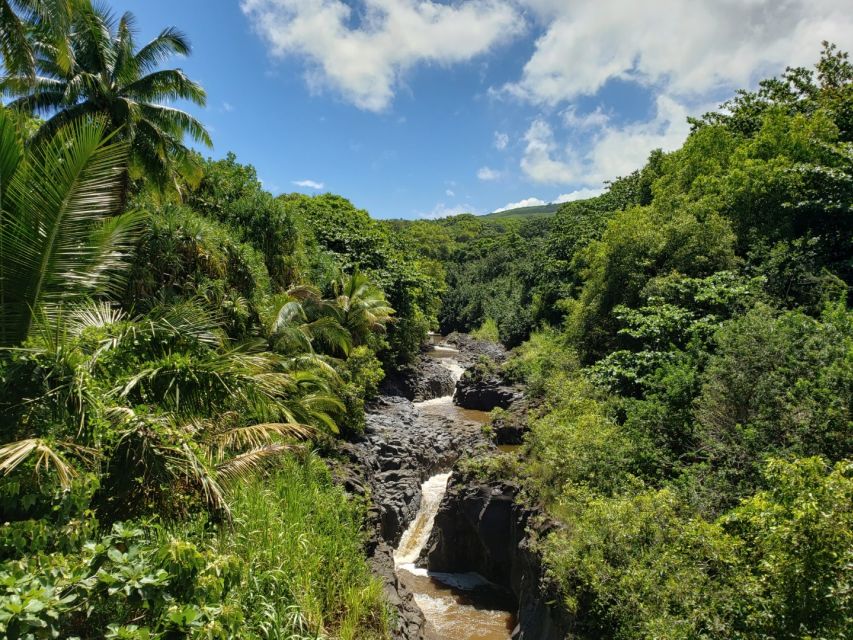 Maui: Road to Hana Adventure with Breakfast & Lunch - Pua‘a Ka‘a brings the first swim