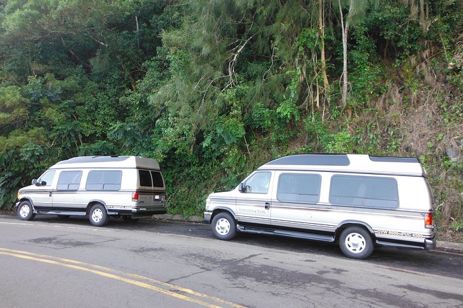 Maui: Road to Hana Luxury Limo-Van Tour with Helicopter Flight - Waterfalls, pools, and the approach to Hana