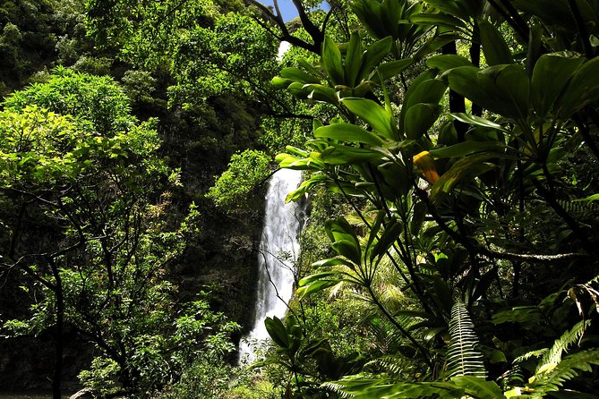 Maui: Road to Hana Luxury Limo-Van Tour with Helicopter Flight - Is $599 a fair price?