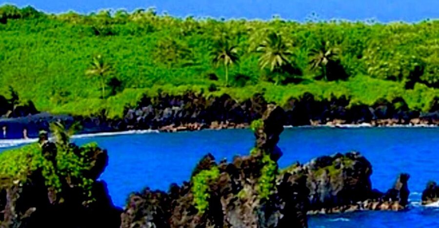 Maui: Small-Group Road to Hāna Sightseeing Tour - Hoʻo kipa Lookout and Maui’s changing coast