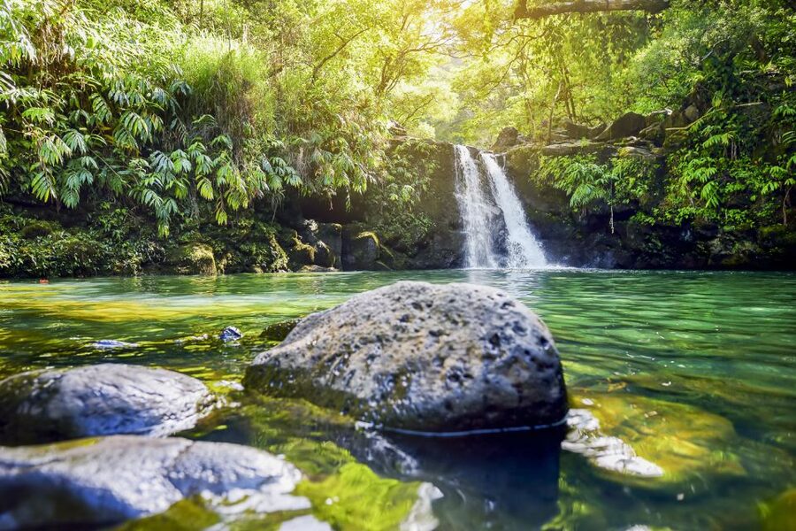 Maui: Small-Group Road to Hāna Sightseeing Tour - Rainbow eucalyptus, state parks, and waterfall country