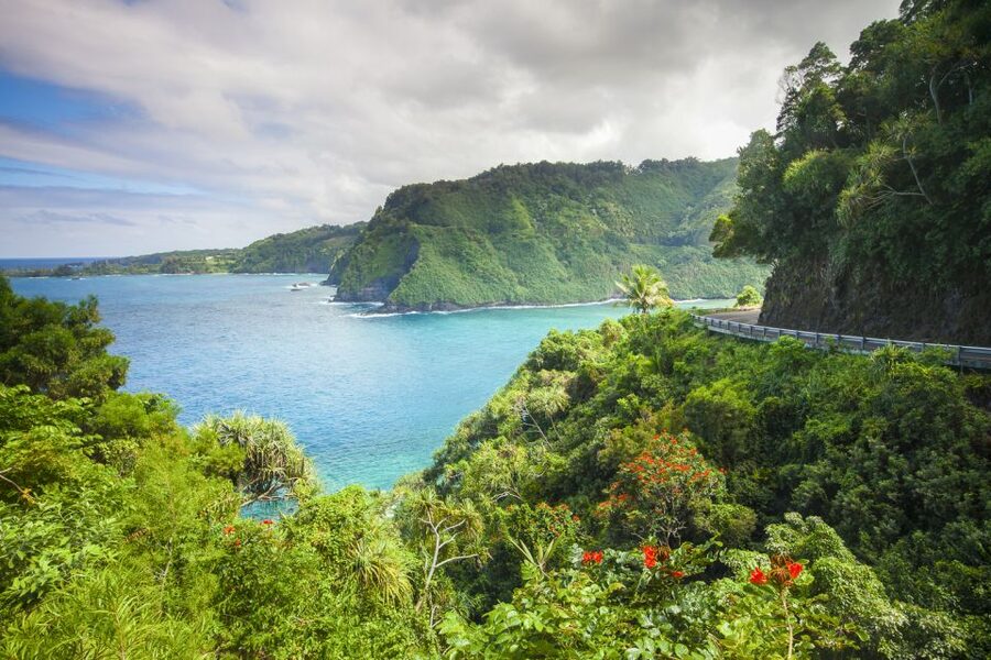 Maui: Small-Group Road to Hāna Sightseeing Tour - Waiʻānapanapa’s black sand and sea cave