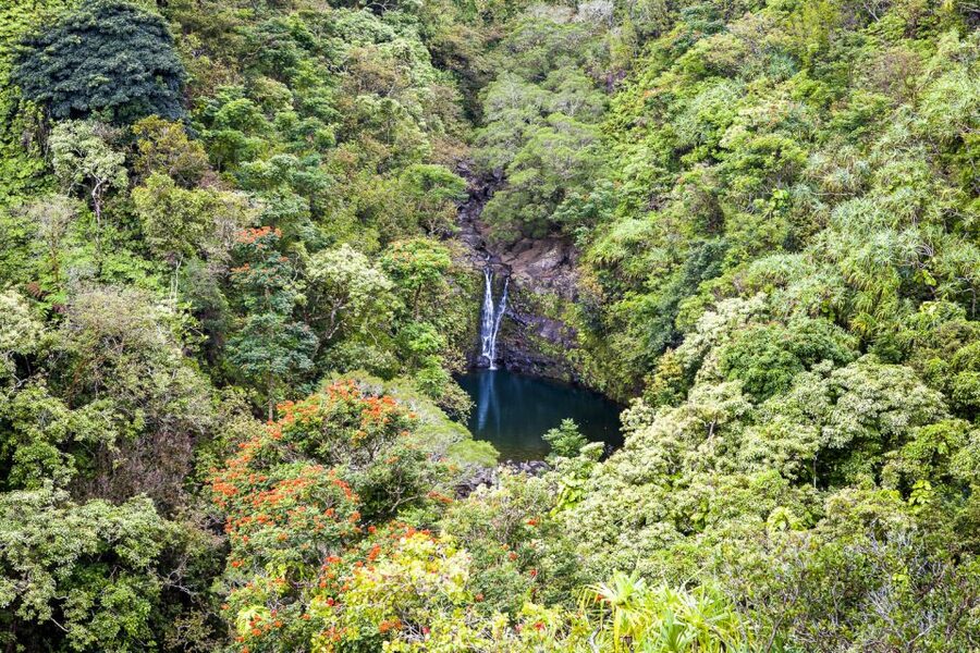 Maui: Small-Group Road to Hāna Sightseeing Tour - Hāna, Hamoa Beach, and the possible red sand stop