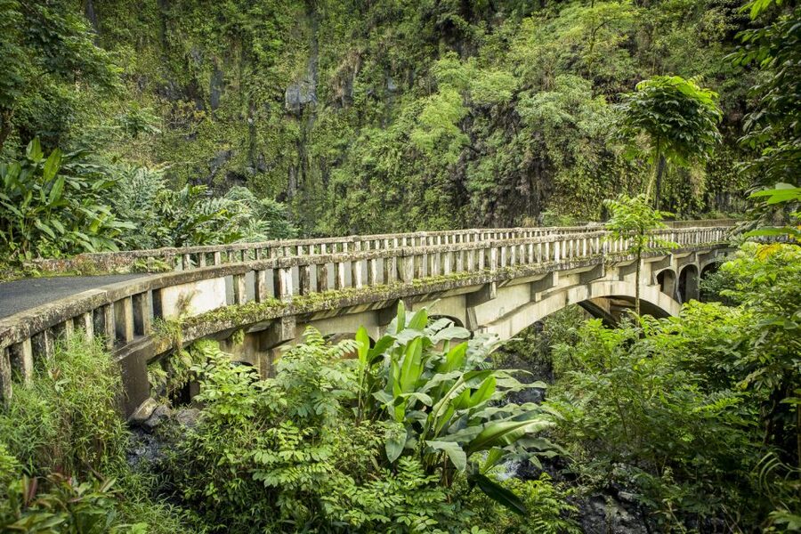 Maui: Small-Group Road to Hāna Sightseeing Tour - A hot BBQ lunch with a view