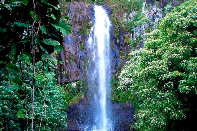 Maui: Small Group Road to Hāna Tour 6 to 8 passengers - Wailua Falls and the limits of the current route