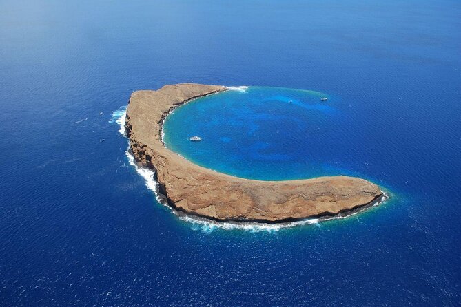 Maui Snorkel Adventure: Molokini Crater and Turtle Cove - Key Points Before You Book