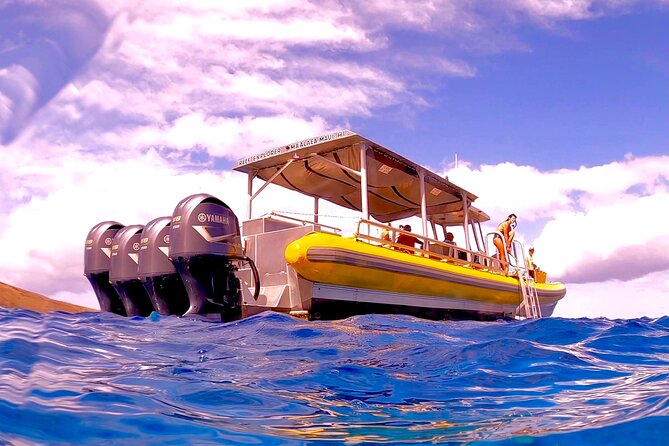 Maui Snorkel Adventure: Molokini Crater and Turtle Cove - Leaving Maalaea Harbor at 8 a.m.