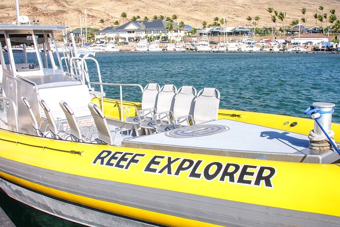 Maui Snorkel Adventure: Molokini Crater and Turtle Cove - Help for First-Time Snorkelers