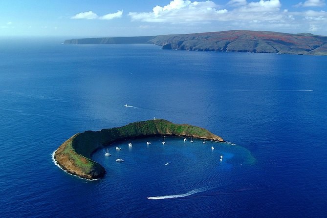 Maui Snorkeling Adventure From Ma'alaea Harbor to Molokini - Why Molokini Crater is worth the early alarm