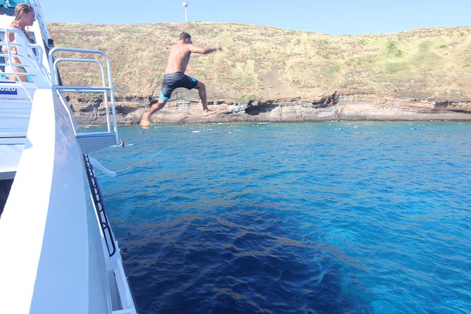 Maui Snorkeling Adventure From Ma'alaea Harbor to Molokini - Turtle Town brings a different kind of wildlife encounter