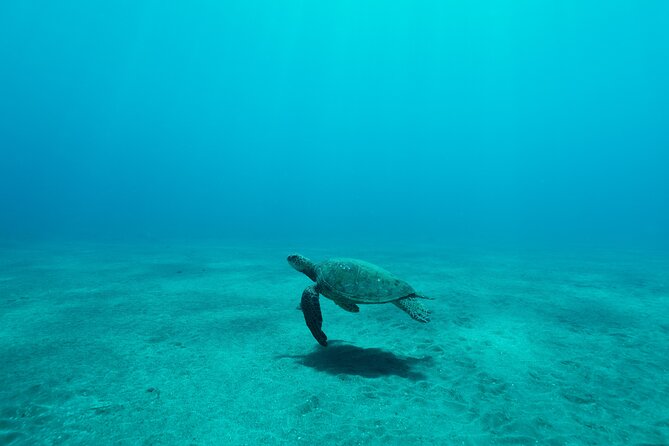 Maui Snorkeling Boat Tour to Turtle Town Aboard Quicksilver - The Waterslide, Jumping Platform, and Upper Deck