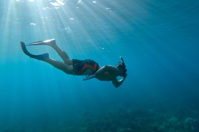 Maui Snorkeling Boat Tour to Turtle Town Aboard Quicksilver - Who Will Get the Most From This Maui Boat Trip?