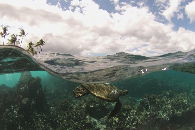 Maui South Coast and Molokini Crater Adventure from Kihei - Molokini Crater: clear water and volcanic walls
