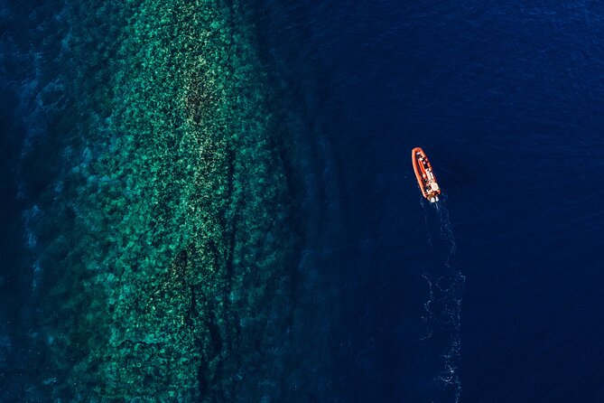 Maui South Coast and Molokini Crater Adventure from Kihei - Turtle Town and the chance to see green sea turtles