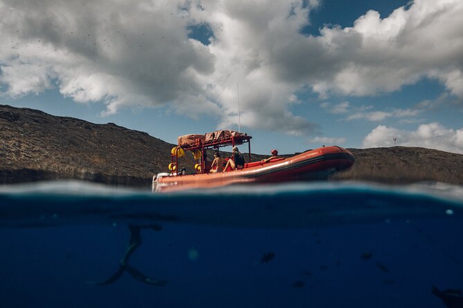 Maui South Coast and Molokini Crater Adventure from Kihei - The back wall is the small-boat advantage